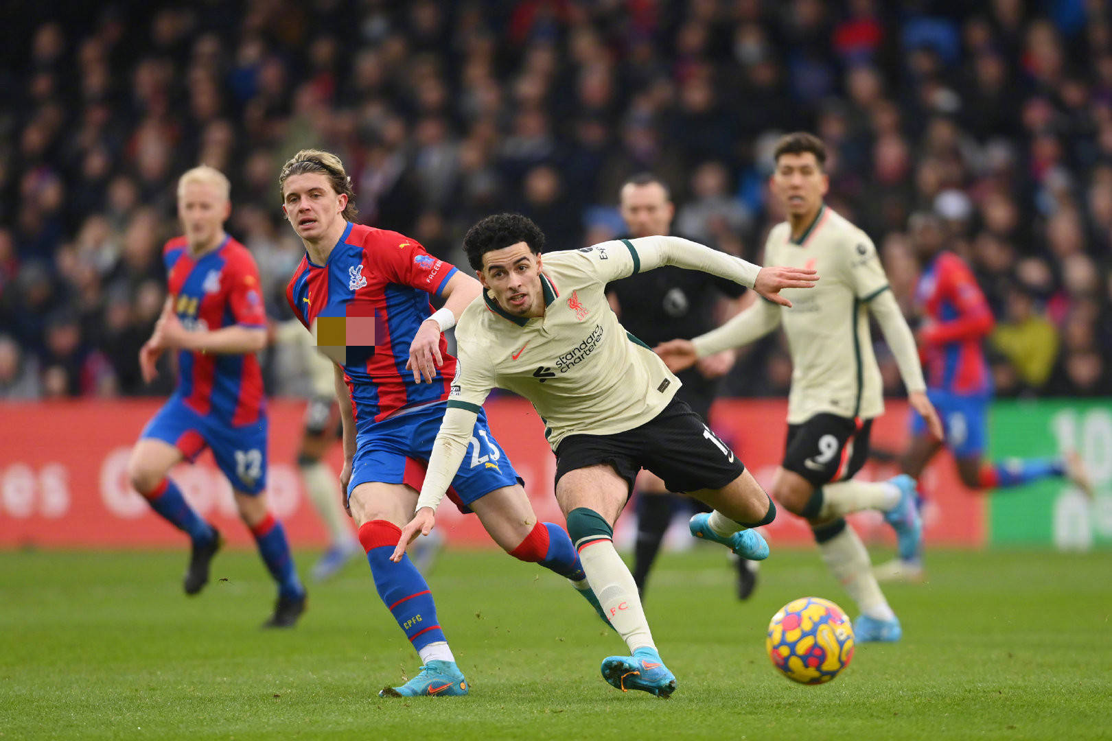 也彰显了团 也彰显了团