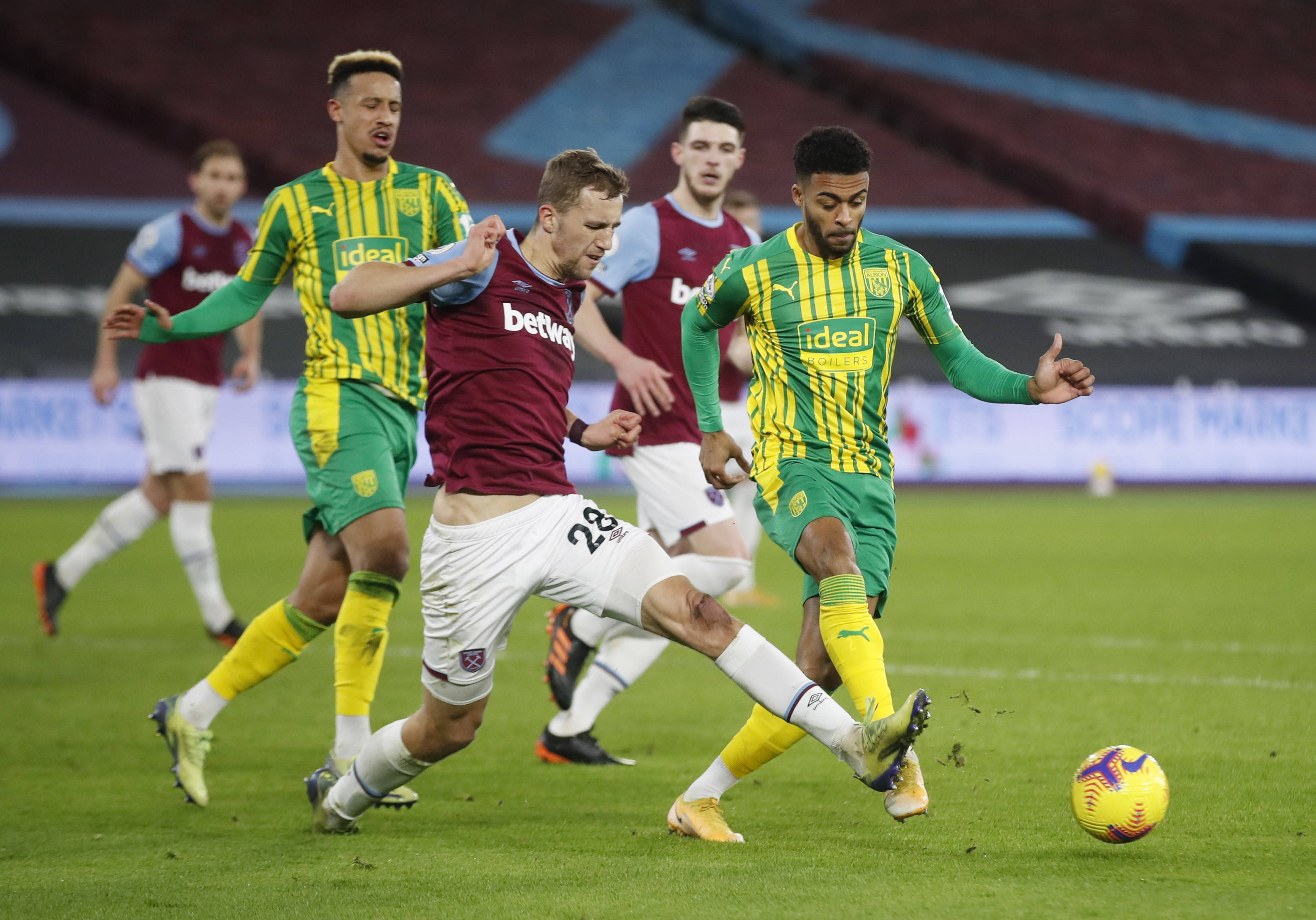 强的适应性 强的适应性